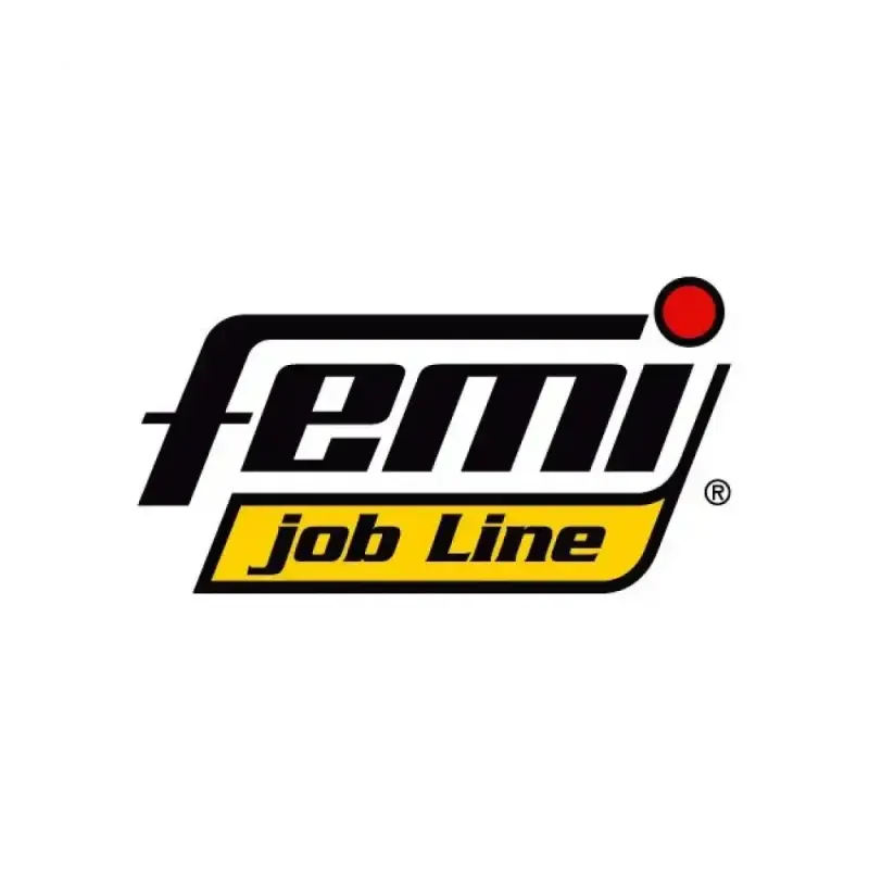 Femi