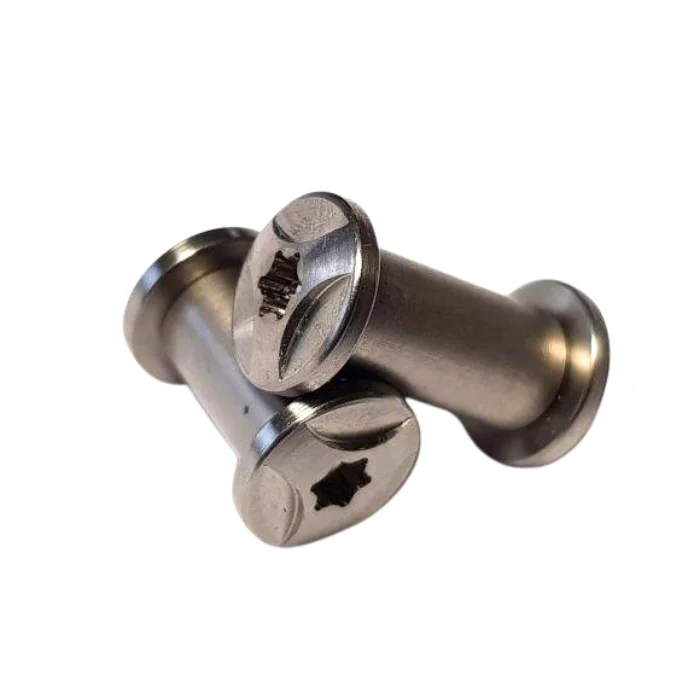 Pivot 1/4" corps inox 416 tête titane Torx T15