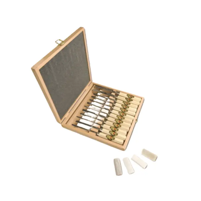 Coffret 24 ciseaux de sculpteur avec pierres à affûter