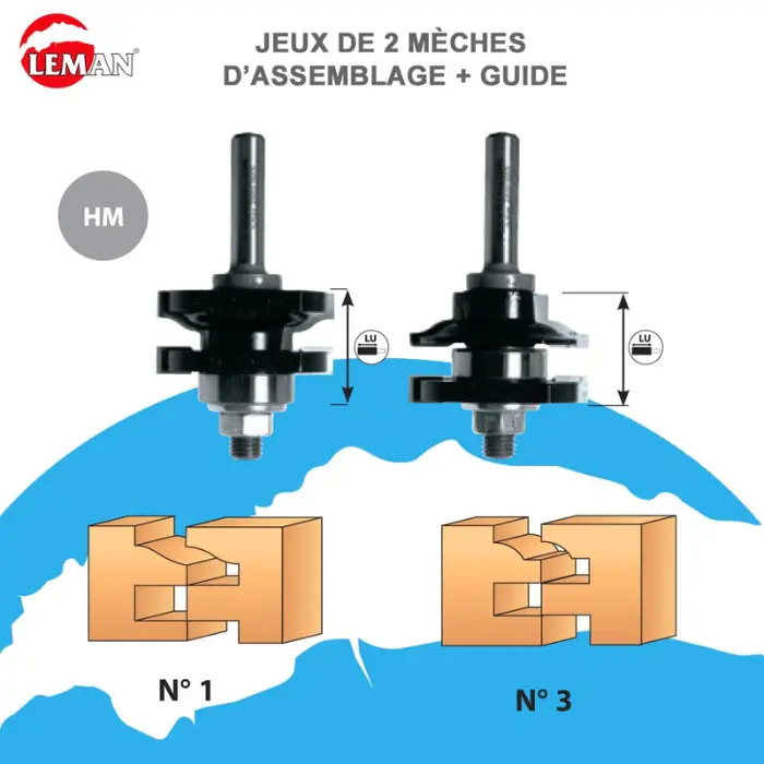 Jeu 2 mèches profil/contre-profil carbure Forme 3 queue 8 mm