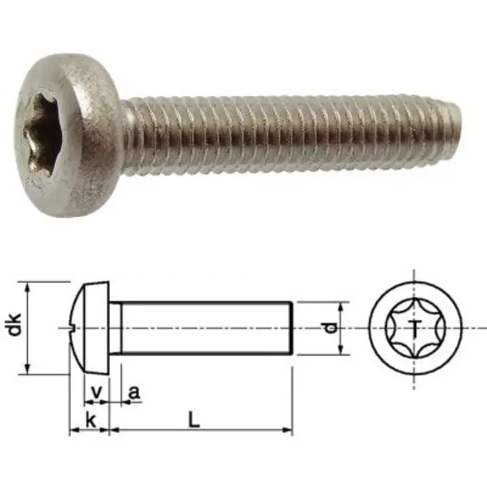 Vis métaux TCB inox A2 M2×4 Torx TX6 · Sachet 25