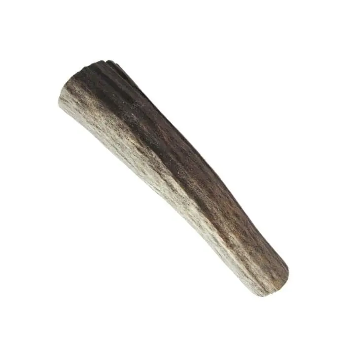 Cylindre bois d'élan Ø20/25 × 110 mm