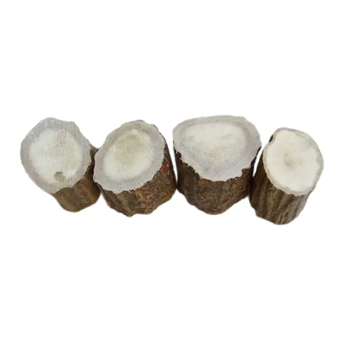 Section bois d'élan ép. 30 mm Ø 25-30 mm
