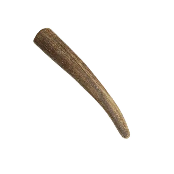 Pointe bois d'élan >