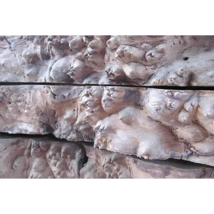Carrelet Galeux d'orme 60 × 60 × 200 mm