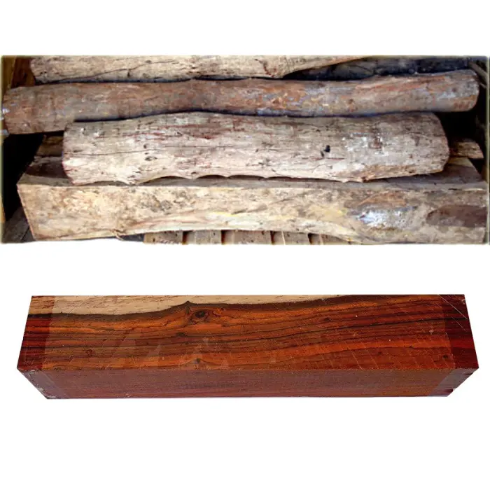 Cocobolo du Nicaragua en grume - vendu au kg