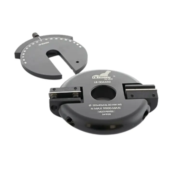 Porte-outils multi-pentes Ø 120 mm al. 30 Z2 Ep. 40