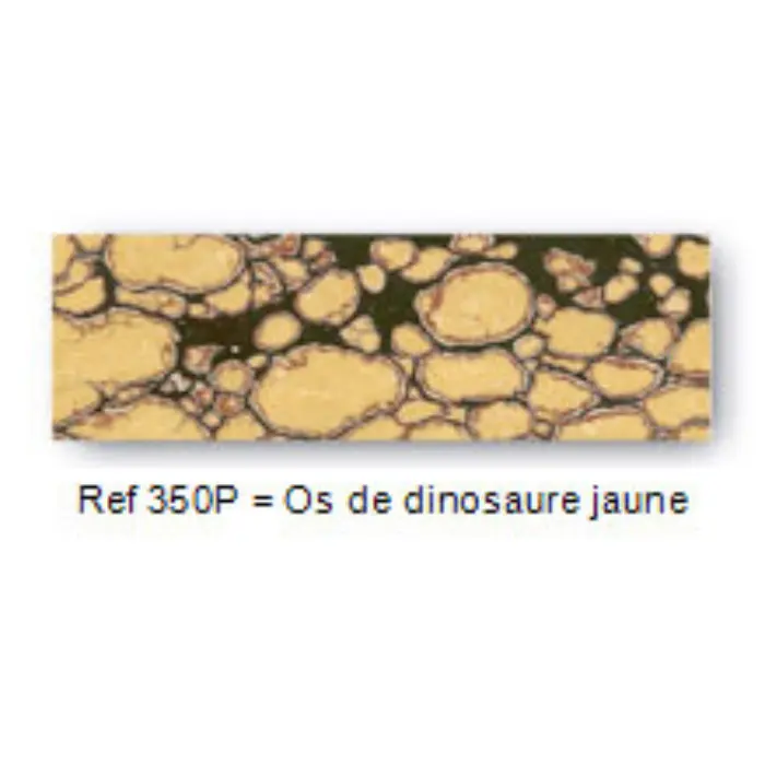 Plaquette pierre reconstituée 105×35×5 mm - Os de dinosaure jaune