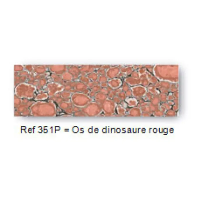 Plaquette pierre reconstituée 105×35×5 mm - Os de dinosaure rouge