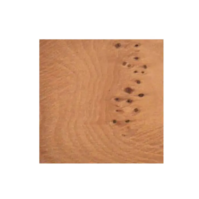 Placage if 6/10 mm - 11×100 cm