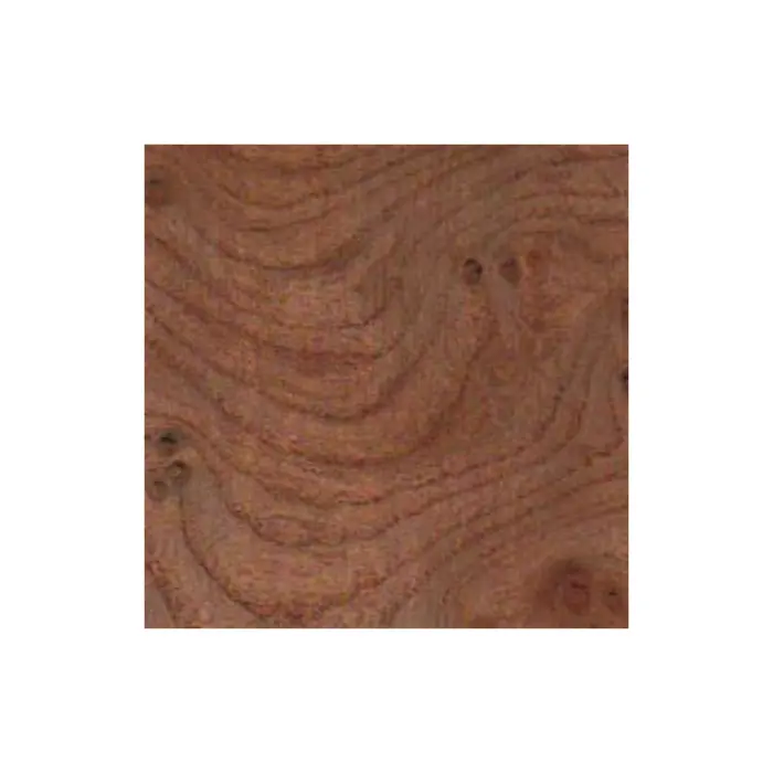 Placage loupe d'orme 6/10 mm — 15×30 cm