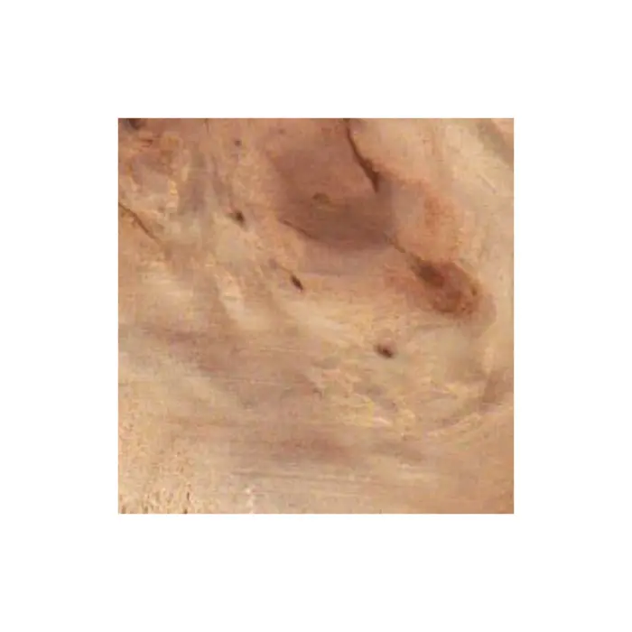 Placage loupe de peuplier 6/10 mm — 20×50 cm
