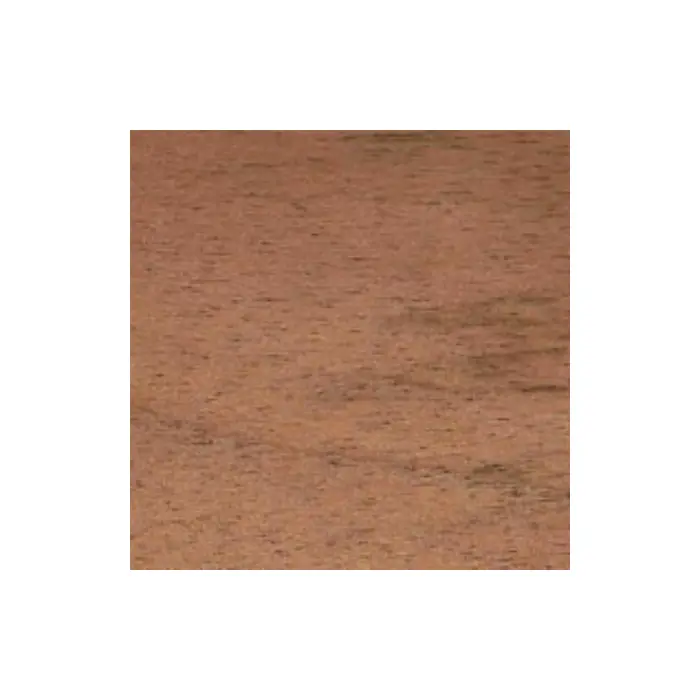 Placage noyer de France 6/10 mm — 15 cm × 1 m