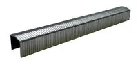 Agrafes STCR5019 8 mm galvanisées - Boîte de 5000