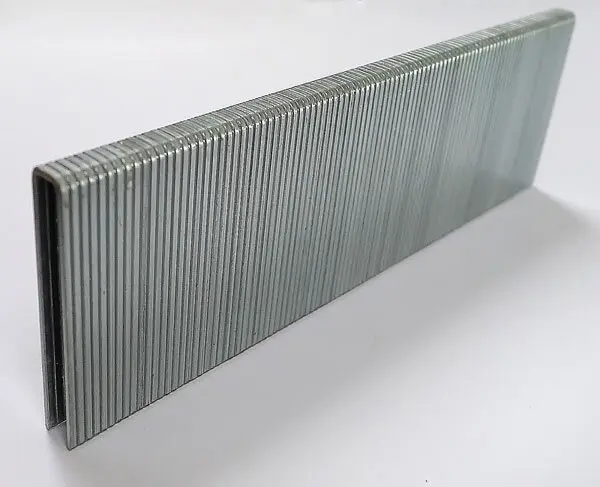 Agrafes SX 40 mm galvanisées boîte de 3000